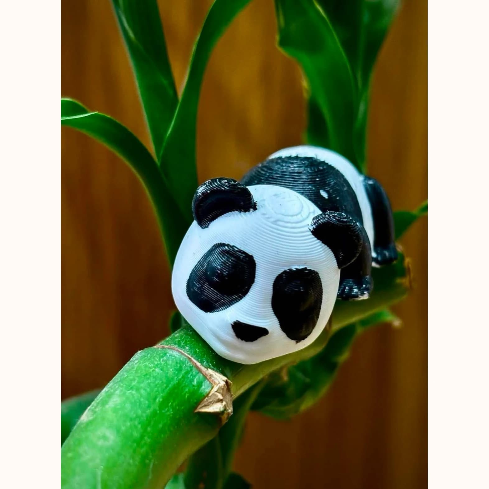 Panda Bambuchko